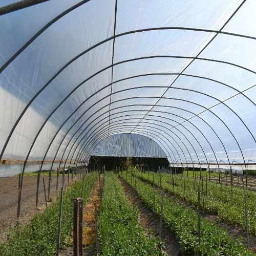 greenhouse-film-for-irrigation-500x500